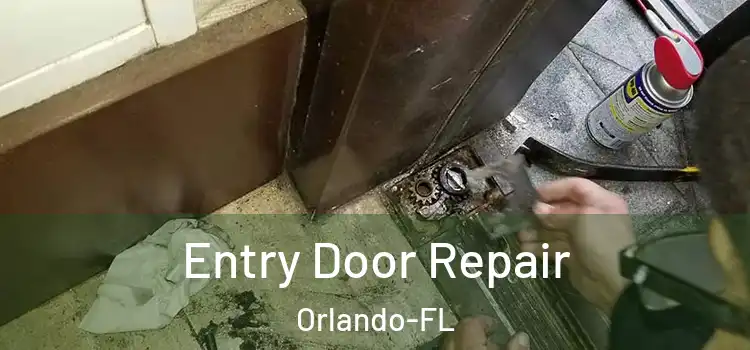 Entry Door Repair Orlando-FL